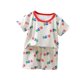 thumbnail image 1 of Odeerbi 0-12 Años Niños Niñas Pijamas de Verano Estampado Algodón Conjuntos Manga Corta Camiseta Shorts Conjunto de Dos Piezas, 1 of 3