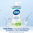 thumbnail image 5 of Dial Antibacterial & Sensitive Aloe Scent Foaming Hand Soap, Hypoallergenic, 7.5 fl oz, 5 of 11