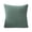 Light Green, variant on RoamHome Throw Pillows for Sofa Couch Solid Color Polyester Throw Pillows Decorative Throw Cushion for Multi-Purpose Modern Style Home Decor (Dark Gray, 1PC)