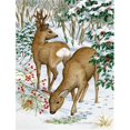 thumbnail image 1 of Carolines Treasures ASA2004CHF European Roe Deer Western Roe Deer Flag Canvas House Size, 1 of 4