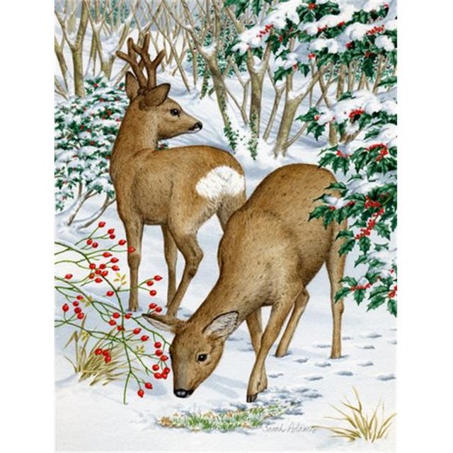 Carolines Treasures ASA2004CHF European Roe Deer Western Roe Deer Flag Canvas House Size