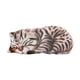 thumbnail image 5 of Precioso peluche 3D realista para dormir y abrazar Blanco Marrón, 5 of 9