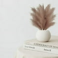 thumbnail image 3 of HESHENG 6PCS Faux Pampas Grass 18" Tall Decor, Small Pompous Artificial Dried Pompas Grass, Fake Pampas Floral , Artificial Flowers Vase Filler, Home Wedding Boho Decor, Beige, 3 of 10