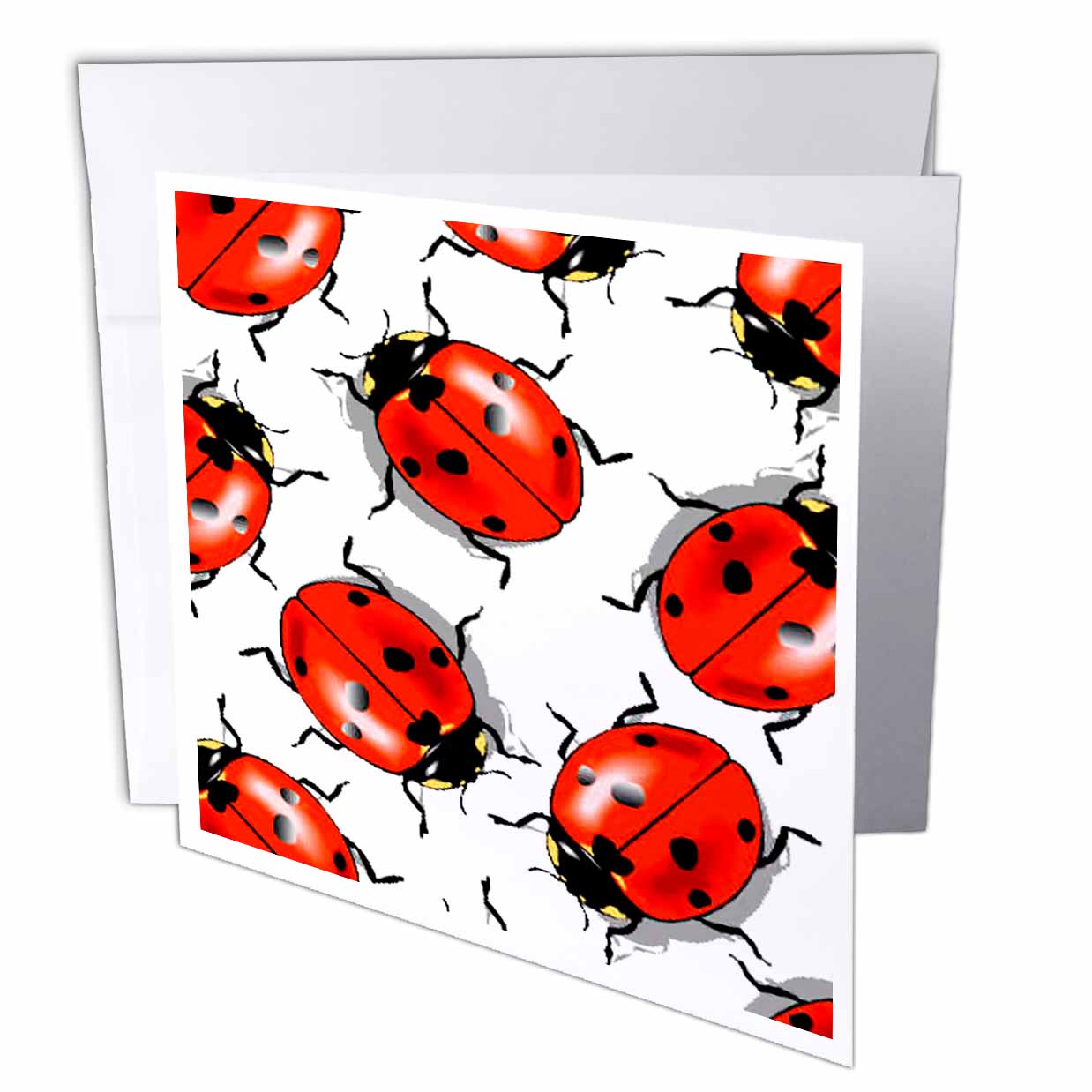 Ladybug 6 Greeting Cards with envelopes gc9981