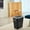Black, variant on Trash Can With Lid Trash Can For Bathroom Trash Can With Lid Garbage Can With Press Lid Plastic Wastebasket With Popup Lid For Toilet Office Bedroom Trashcan