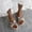 Multicolor, variant on Kayannuo Summer Slippers for Women Clearance Indoor Outdoor Women Flowers Open Toe Slippers Shoes Comfy Sandals Casual Comfortable Beach Sandals Gifts for Women