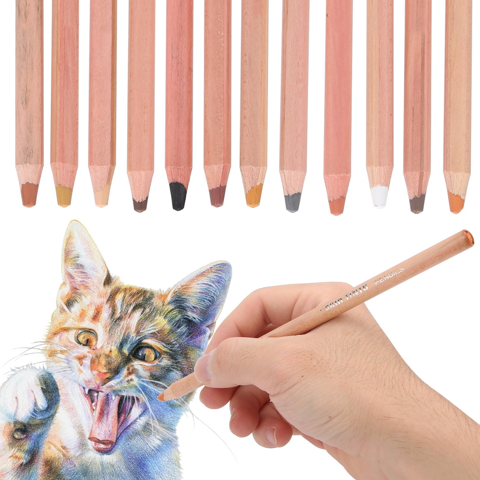  PANDAFLY Professional Colored Charcoal Pencils Drawing Set,  Skin Tone Colored Pencils, Pastel Chalk Pencils for Sketching, Shading,  Coloring, Layering & Blending, 12 Colors : Arts, Crafts & Sewing
