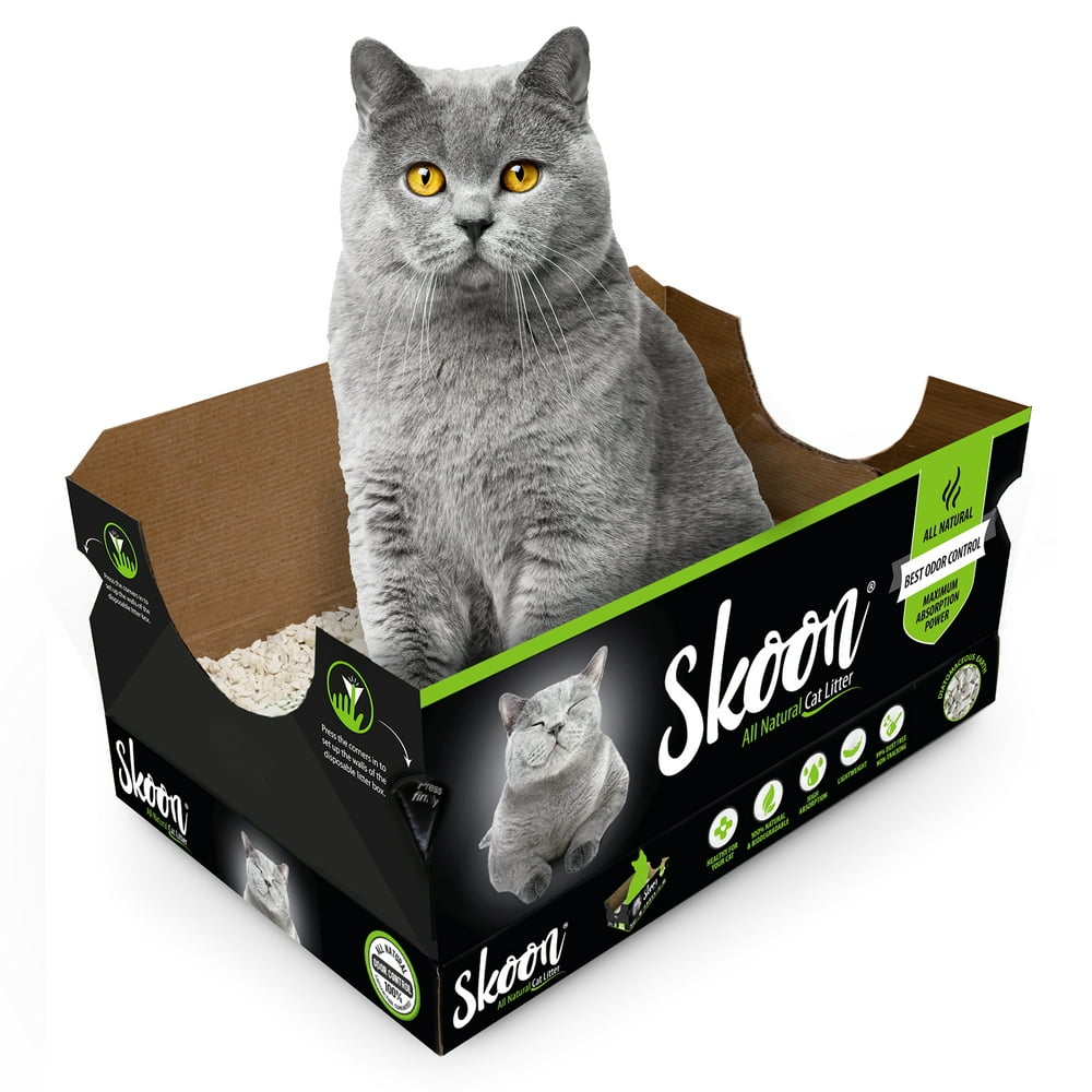 Skoon AllNatural Cat Litter, Disposable Litter Box, ecoFriendly, 4