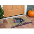 thumbnail image 2 of HomeRoots 555531 18 x 30 in. Brown & Black Coir Birds Outdoor Holiday Door Mat, 2 of 5