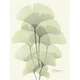 thumbnail image 2 of Koetsier, Albert 25x32 Black Ornate Wood Framed with Double Matting Museum Art Print Titled - Gingko Leaves in Green 2, 2 of 4