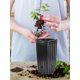 thumbnail image 3 of 20 Pack Tall Tree Pots For Indoor & Outdoor Gardening - Premium Thickened Deep Nursery Planting Basin With Drainage Hole & Nutrition Cup - For Trees B, 3 of 5