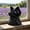 Purple, variant on Black Cat Figurine, Halloween Decoration Resin Hooded Black Cat Statue with Emerald Eyes, Mysterious Cape Cats Statue Dressed In a Cape for Shelf Desktop Office Decoration