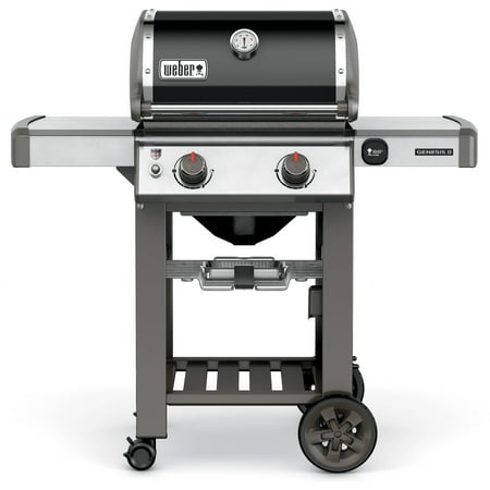 Weber Genesis II E-210 Black Natural Gas Grill (Weber Genesis E 310 Natural Gas Best Price)