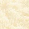 Light Champagne