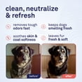 thumbnail image 2 of Petpost Skunk Odor Shampoo for Dogs & Cats - Natural Deodorizing Formula with Safflower Oil - Removes Skunk Spray, Eliminates Strong Odors - Gentle on Skin, 2 of 10