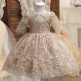 thumbnail image 1 of Bebé Niña Vestido Bordado Niños Vestidos 1er Cumpleaños Fiesta Bautizo Princesa Tul Flor Para Boda 1-5Y, 1 of 4