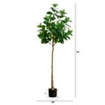 thumbnail image 2 of Nearly Natural Audrey Ficus Artificial Potted Tree - 6' - Unlit, 2 of 6