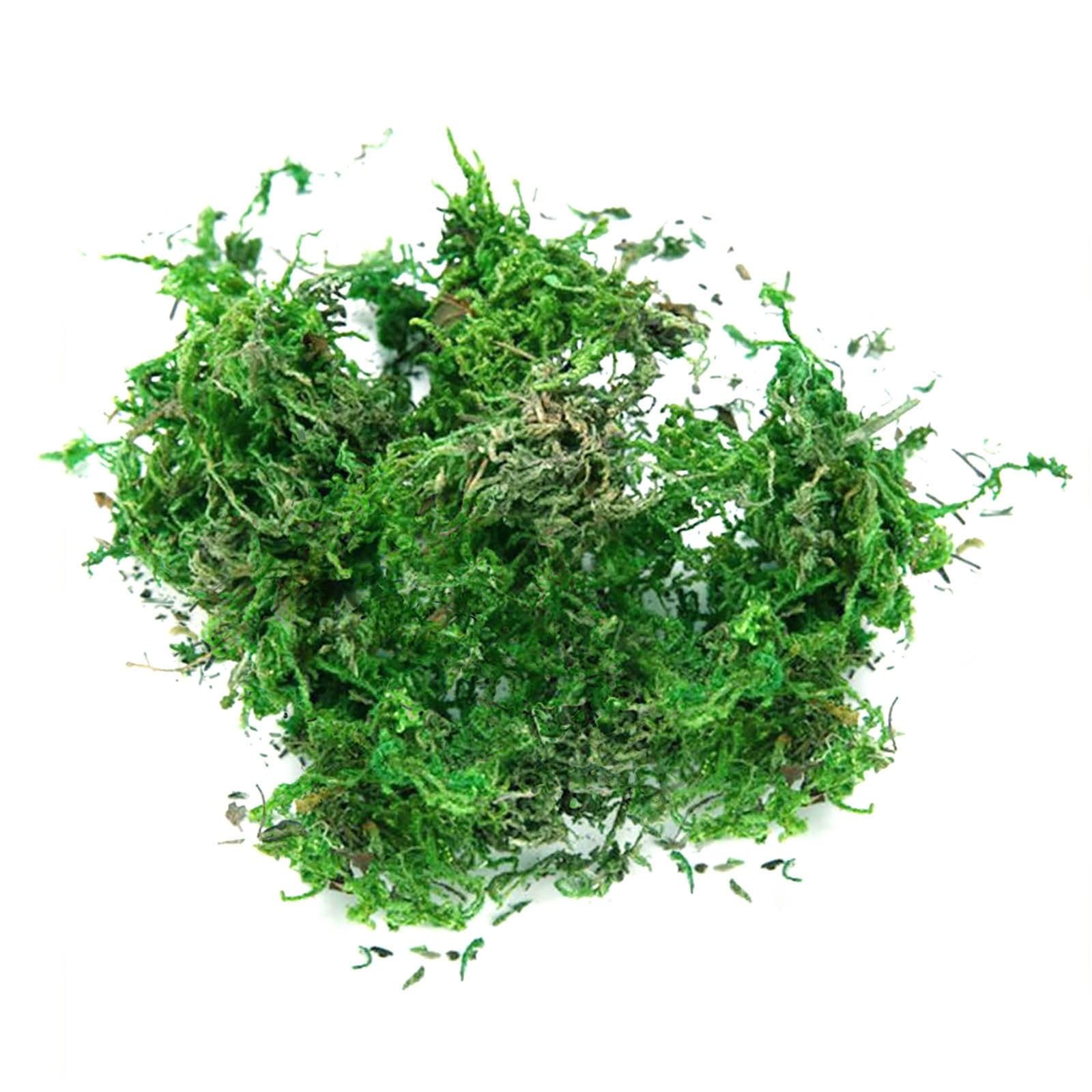 50 Pcs 5 Size Artificial Moss Rocks Decorative Faux Green Moss