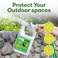 thumbnail image 3 of BugMD Mosquito Amigo Ant Killer & Bug Spray - Outdoor Roach, Cockroach, and Spider Killer, Fly and Insect Defense, Natural Plant-Based Formula, Safe with Essential Oils, 3 of 7
