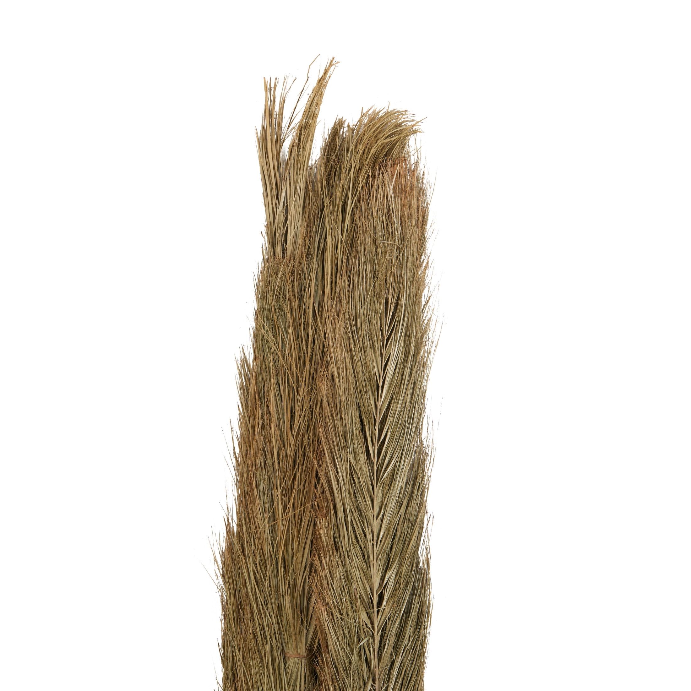 60" Tall Palm Leaf Natural Foliage Bouquet, by DecMode
