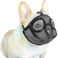thumbnail image 5 of Dog Muzzle With Short Snout Adjustable Breathable Mesh Muzzle For English French Bulldogs Anti-bite Chewing, 5 of 5
