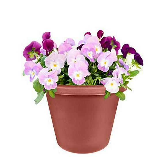 Hcc Retail Classic Pot Clay 10 Inch