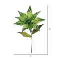 thumbnail image 2 of Vickerman 26" Lime Velvet Poinsettia Artificial Christmas Pick, 3 per Bag, 2 of 3