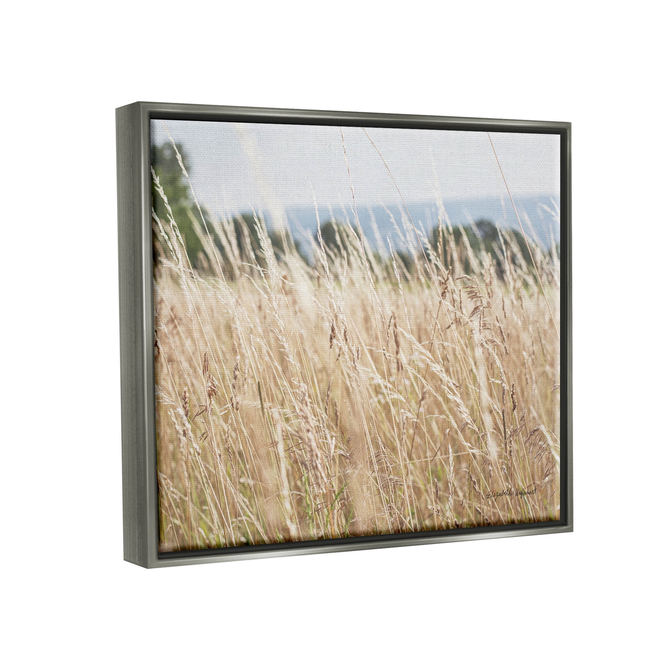 Stupell Industries Rural Wheat Field Spring Breeze Photograph Luster Gray Floating Framed Canvas Print Wall Art, Design by Elizabeth Urquhart