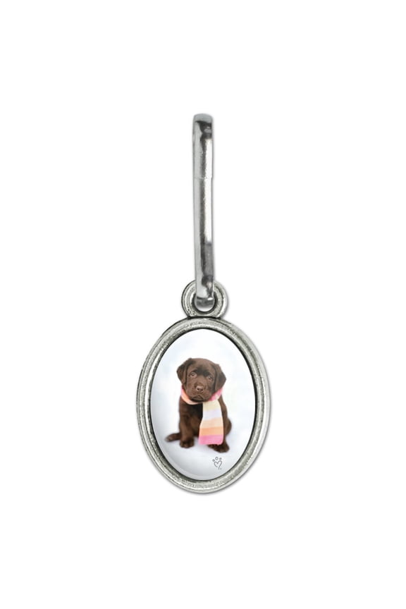 Lab Labrador Puppy Dog Wearing Scarf Antiqued Oval Charm Clothes Purse Suitcase Backpack Zipper Pull Aid