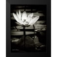 thumbnail image 2 of Van Swearingen, Debra 19x24 Black Modern Framed Museum Art Print Titled - Lotus Flower VIII, 2 of 5