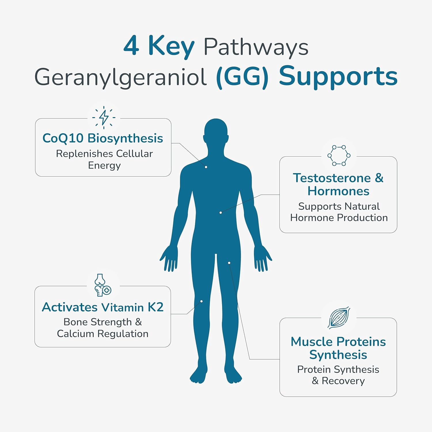WELLNESS EXTRACT Geranylgeraniol GG 150mg, Annatto Derived Supplement for CoQ10 Support, Cellular Energy & Muscle Health, Non-GMO, Gluten Free, 60 Softgels