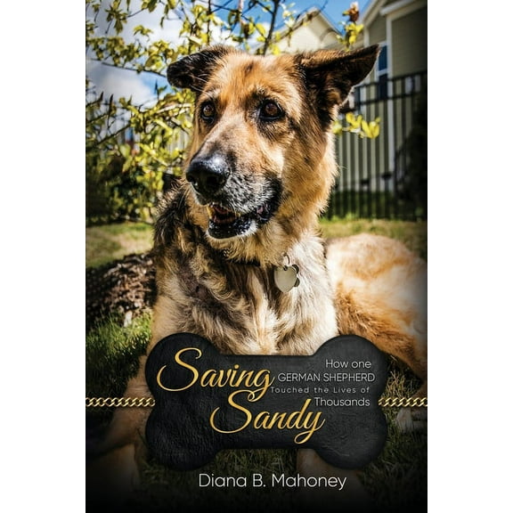 Saving Sandy, (Paperback)
