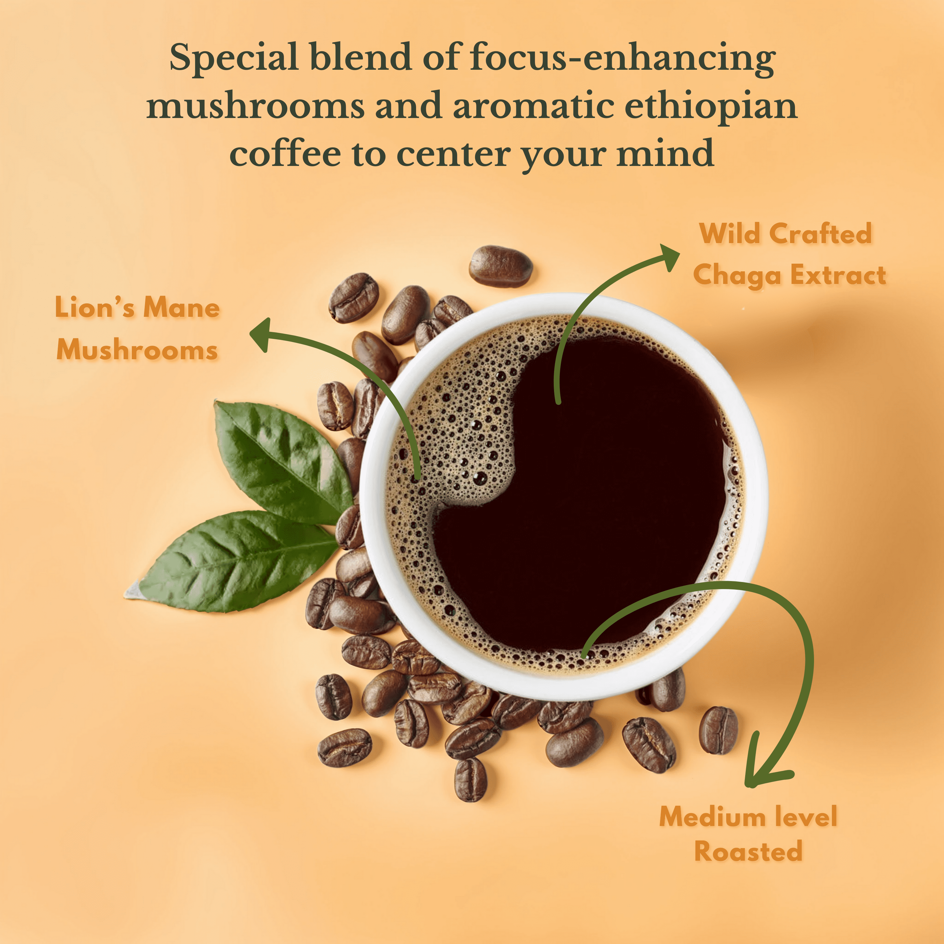 Pure Bliss Mushroom Coffee  w/ Chaga Mushroom & Lion's Mane Mushroom Instant Espresso 12oz