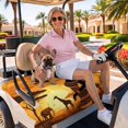 thumbnail image 3 of Golf Cart Seat Covers for 2 Seater,African Black Women Soft Microfiber Cart Seat Towel Blanket,Vintage Africa Ethnic Tribal Absorbent Breathable Non Slip Bench Seats Protector for Golf Course 51"x31", 3 of 9