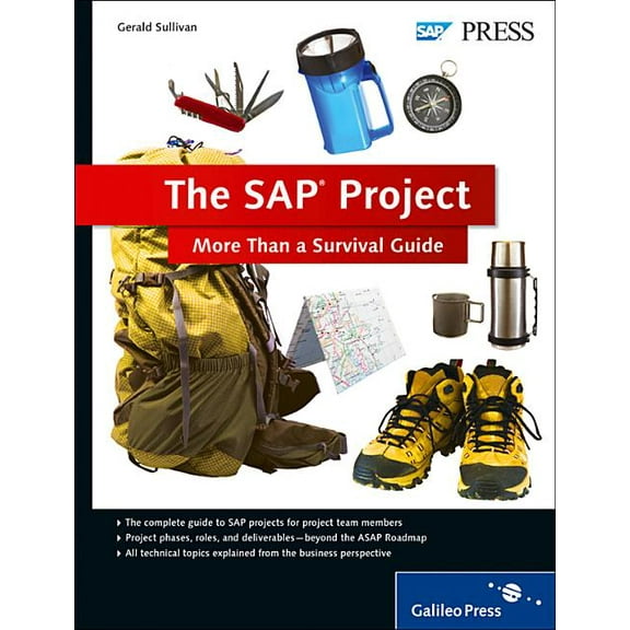 The SAP Project (Paperback)