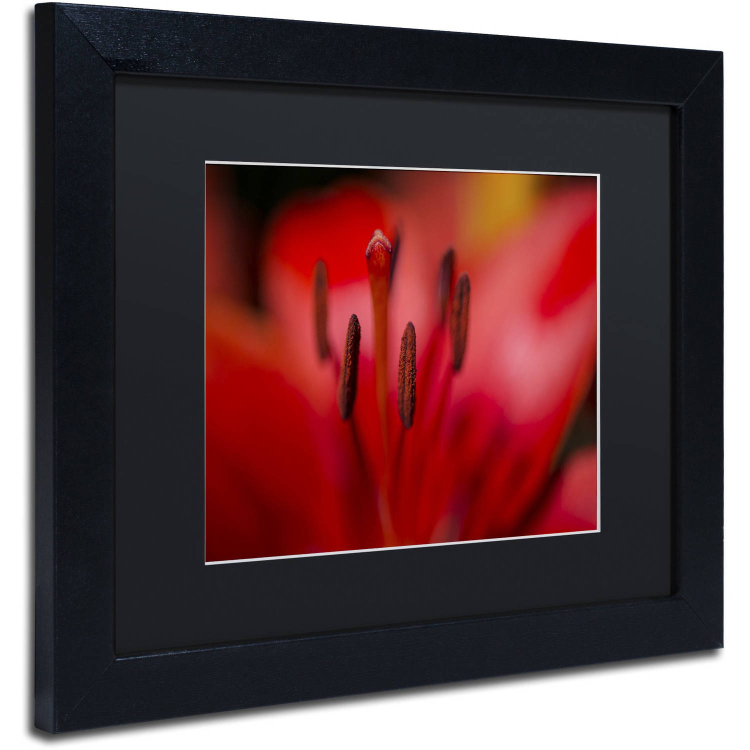 Trademark Fine Art "Red Lily Pistils" Canvas Art by Kurt Shaffer, Black Matte, Black Frame