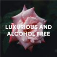 thumbnail image 4 of Bruma corporal Camille Beckman, glicerina, agua de rosas, 240 ml, 4 of 5