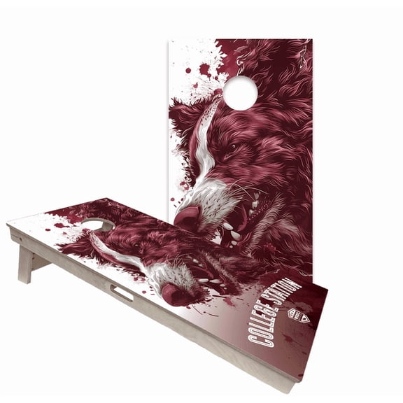 Skip's Garage | Texas Design Backyard 2x4 Cornhole Board Set with Bags