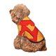 thumbnail image 5 of Balery Tortilla chips Sudadera con Capucha para Perros Pequeños – Ropa para Mascotas, Disfraz para Perros y Gatos, Ideal para Fiestas y Cosplay-Large, 5 of 7