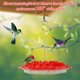 thumbnail image 4 of Muyoka Comederos para p谩jaros colgantes, Kit de estaci贸n de alimentaci贸n para p谩jaros, bebedero de agua para colibr铆 de 400ml con 30 Uds. De orificios de alimentaci贸n para exteriores, 4 of 7