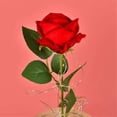 thumbnail image 3 of Regalo de San Valentín, Rosa eterna en cúpula de cristal, Regalo de flores de cumpleaños para el Día de la Madre, Flores de rosas artificiales, Rosa eterna, Una, 3 of 5
