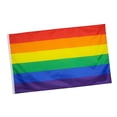 thumbnail image 1 of Supplies Decor Progress Pride for Garden, 1 of 6