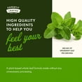 thumbnail image 3 of Swanson Spearmint Leaf (Mentha Spicata)-Full Spectrum Herbal Supplement Supporting Digestive Health & Mild Stomach Issues - (60 Capsules, 400mg Each) 2 Pack, 3 of 8