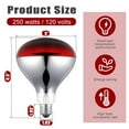 thumbnail image 2 of 2 Pack 250 Watt Heat Lamp Bulb, R40 120v Incandescent Heat Light Bulb for Bathroom, Reptiles, Chicks & Puppies, E26 Base Silver - Ideal Reptile Night Heat Bulb & Bathroom Heater, 2 of 5