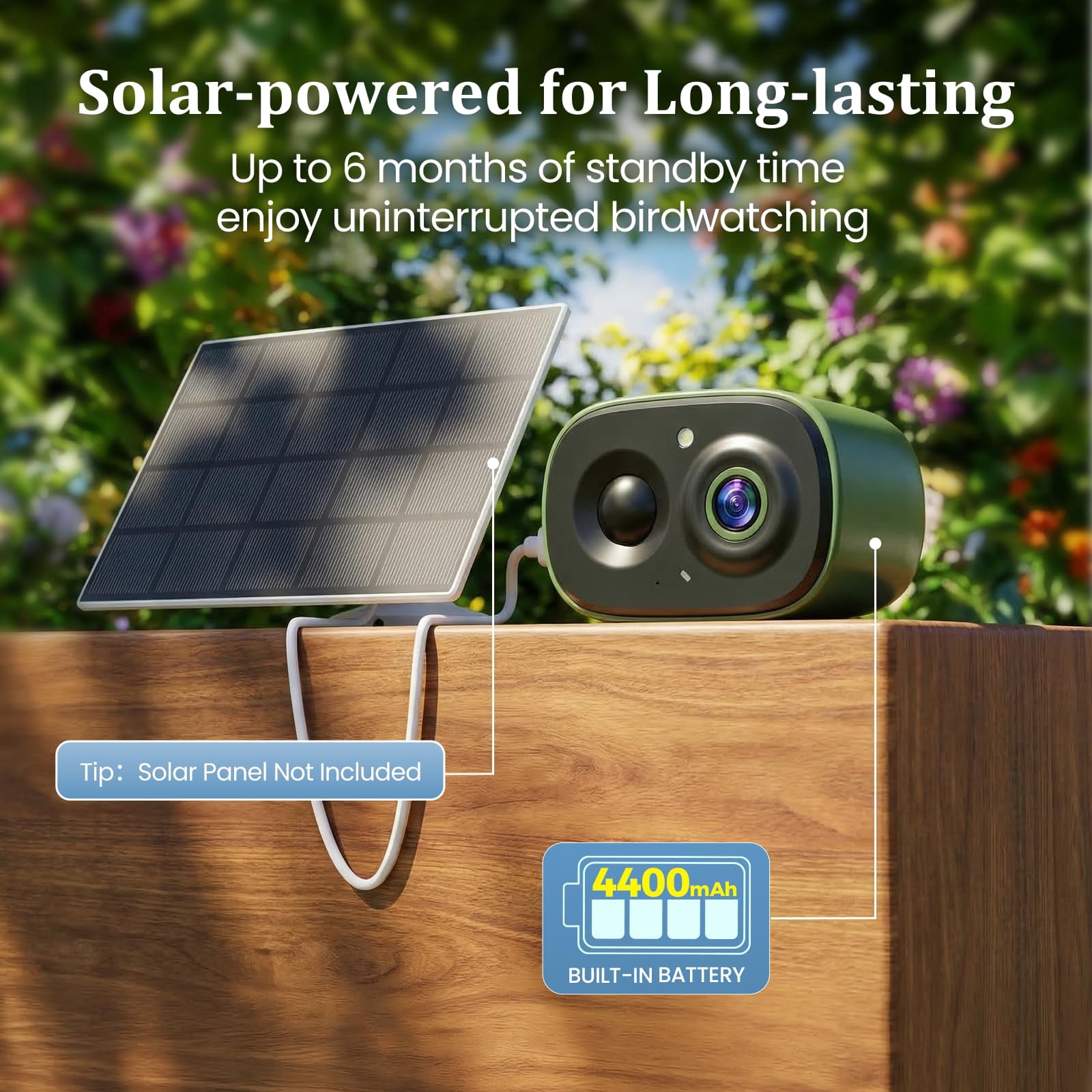 COOLFLY Waterproof Iron Smart Bird Feeder  Camera, Green