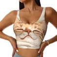 thumbnail image 1 of Fotbe Sleeping Cat In Blanket Sujetador Deportivo Largo sin Aros para Mujer con Almohadillas y Soporte Medio, Transpirable y Absorbente, Camiseta Tipo Chaleco o Tank Top-Medium, 1 of 8
