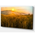 thumbnail image 2 of Tuscany Wheat Field at Sunrise - Landscape Artwork Canvas, 2 of 3