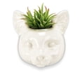 thumbnail image 4 of Cat Head Wall Planter, 4 of 4