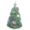 thumbnail image 1 of Arte de árbol de Navidad falso, escultura de jardín, artesanías de resina, Mini plantas encantadoras para estante, regalo de decoración del Suculentas A Sunnimix Estatua del árbol de resina, 1 of 8