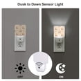 thumbnail image 3 of Goofa Cute Bee Gnome1 Night Light, Plug-in, Dusk to Dawn Sensor, Warm White, Ambient Lighting, Ideal Kids Adults Nightlight-US, 3 of 9